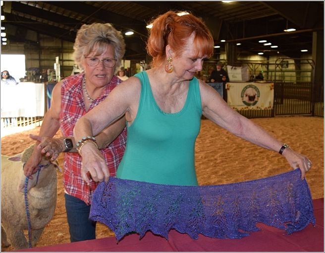Cydne Pidgeon spun and knit this violet colored beaded shawl she�s wearing. She used the Ravelry �Grace Kelly� pattern. The fiber is 70% Merino and 30% Stellina. Photo: Peggy Lundquist.